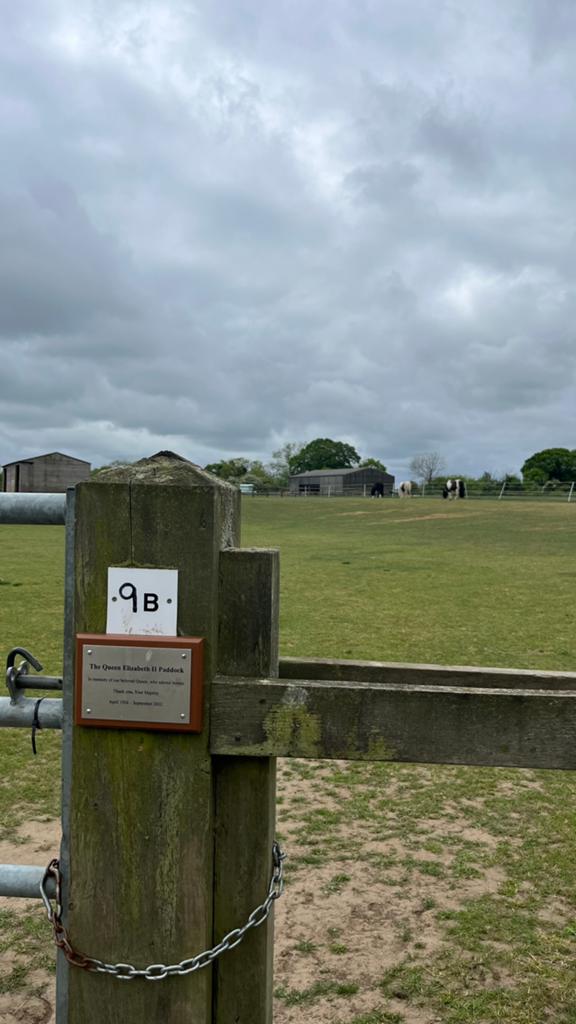 Gezocht stalling en weidegang, Stalling