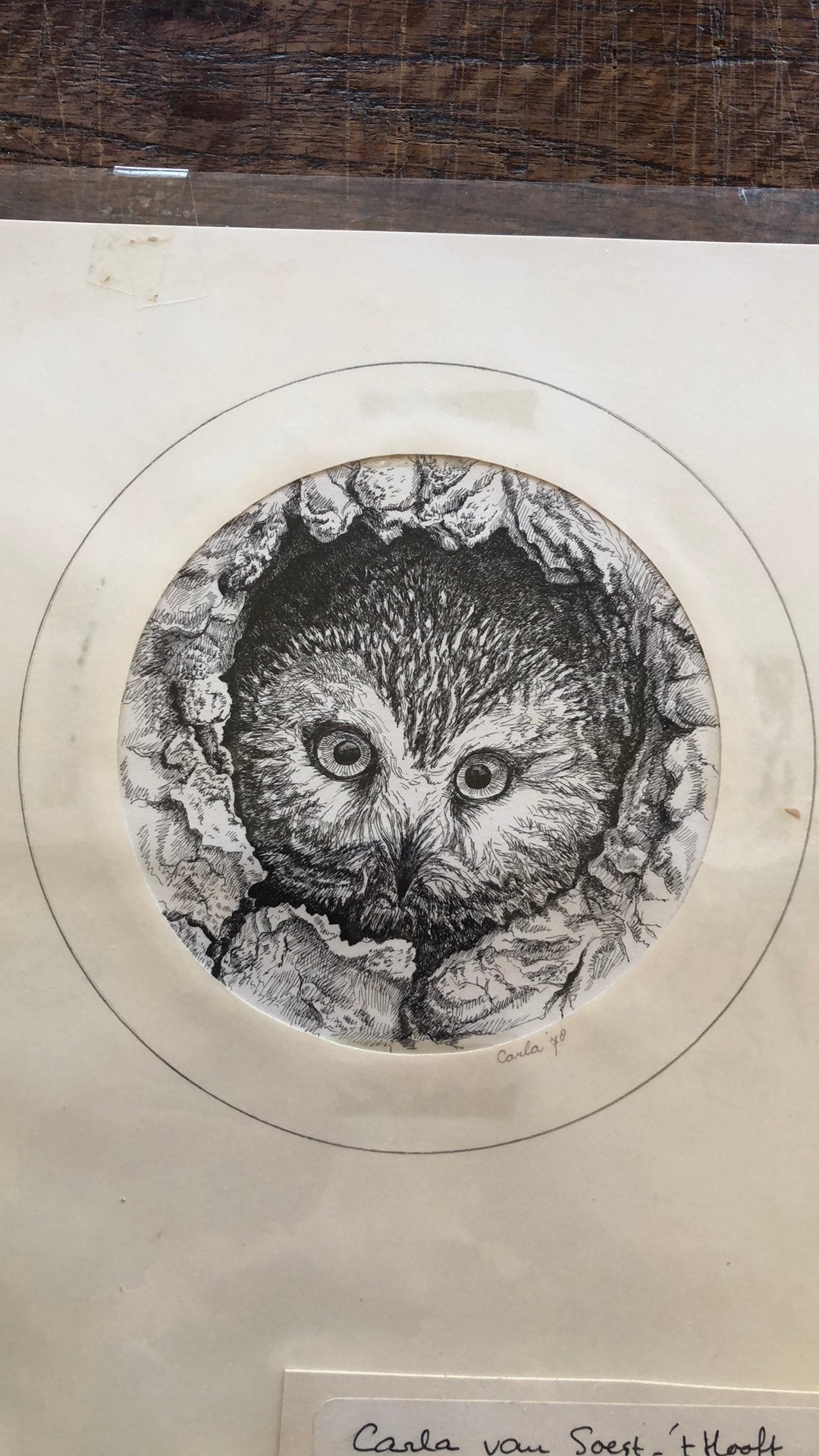 Oude tekening, Ophalen of Verzenden