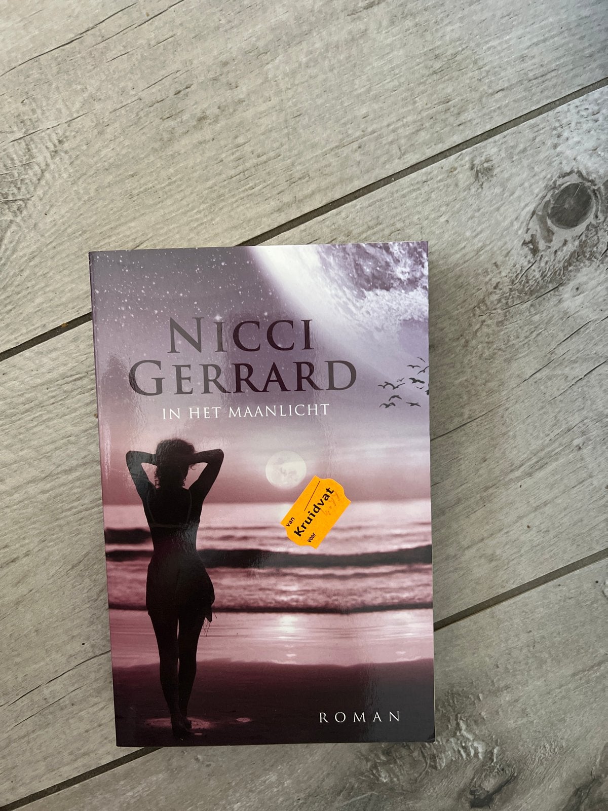 Nicci Gerrard - In het maanlicht (Roman), Boeken, Romans, Ophalen of Verzenden, Zo goed als nieuw