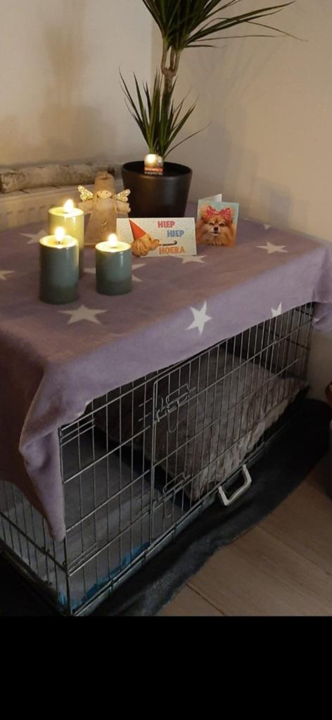 Metalen Honden Benz, Ophalen of Verzenden, Gebruikt