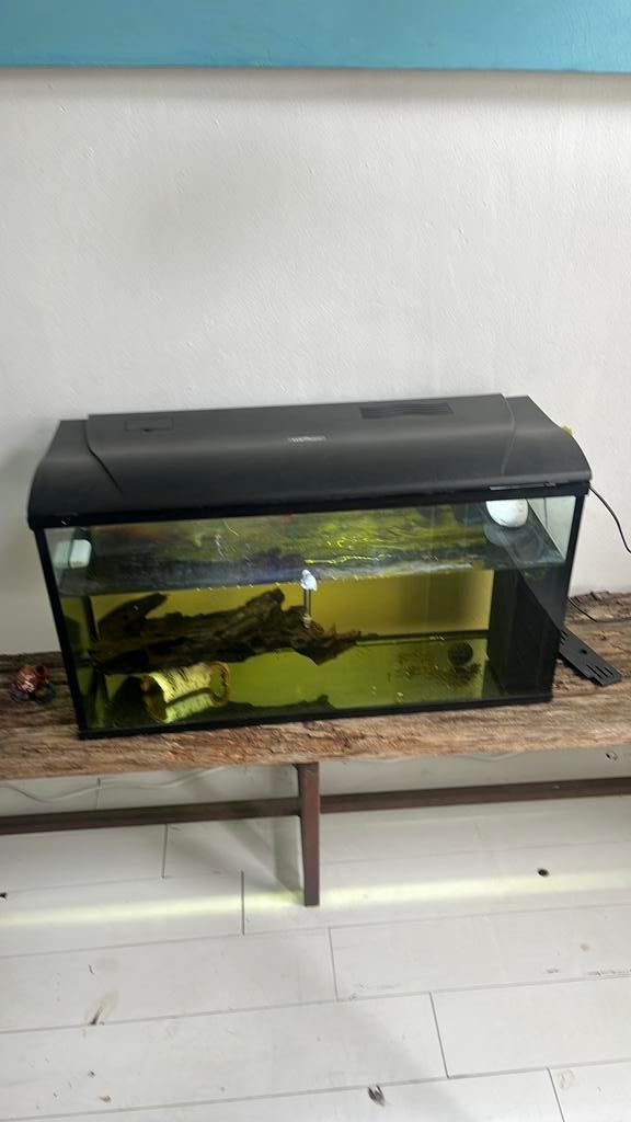 Aquarium HS aqua met meerval, Ophalen, Gebruikt, Verlichting