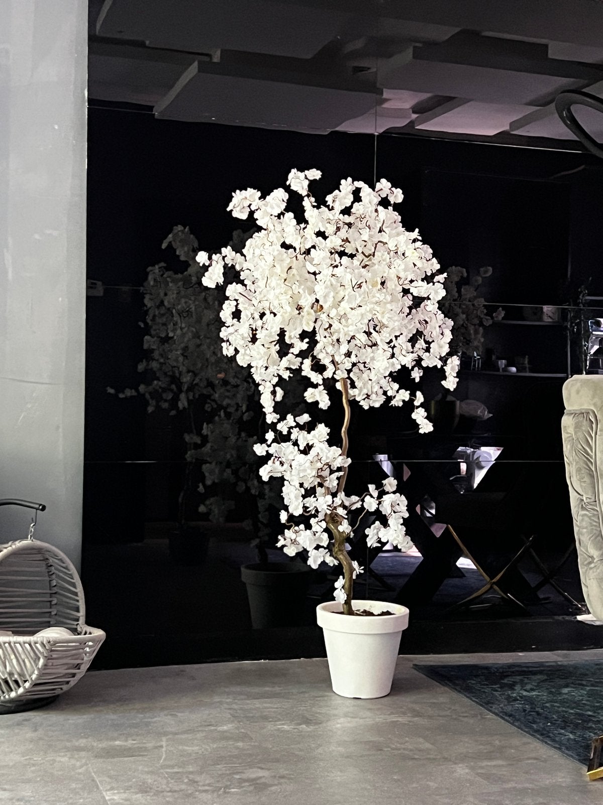 Kunst bloesemboom wit ~ 170cm - New, Ophalen, Binnen, 165 cm, Nieuw