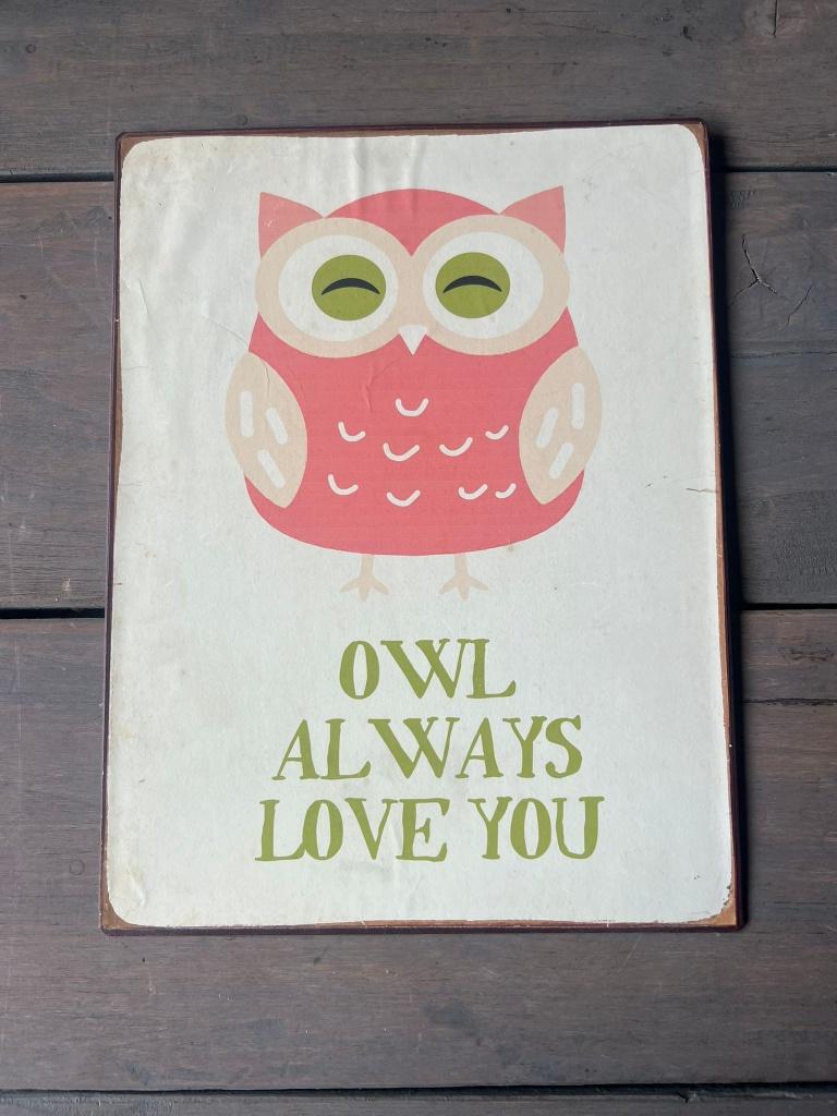 Retro/vintage wandbord kinderkamer deco Owl always love you, Metaal, 36 cm, Gebruikt, Schilderij