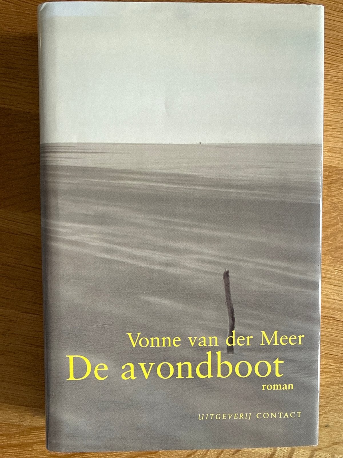 De avondboot - Vonne van der Meer (roman), Ophalen of Verzenden, Zo goed als nieuw
