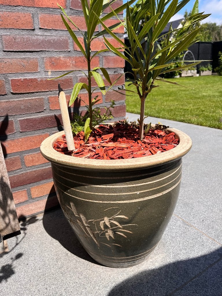 Bloempot met Chinees teken - groen, Ophalen, Rond, Binnen, Aardewerk