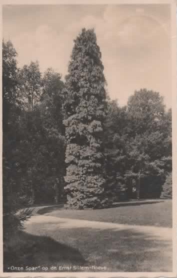Lage Vuursche Onze Spar op de Ernst Sillem Hoeve, Verzamelen, Verzenden, 1920 tot 1940, Gelopen, Utrecht