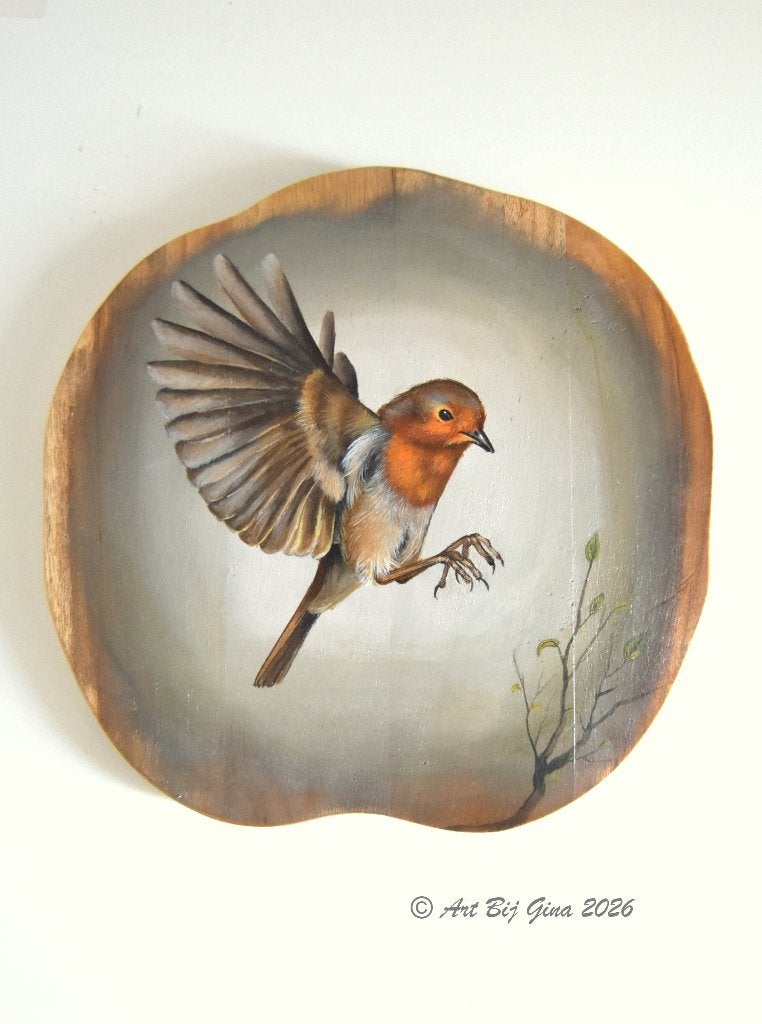Unieke hand beschilderde houten schijf, Roodborstje, Ophalen of Verzenden
