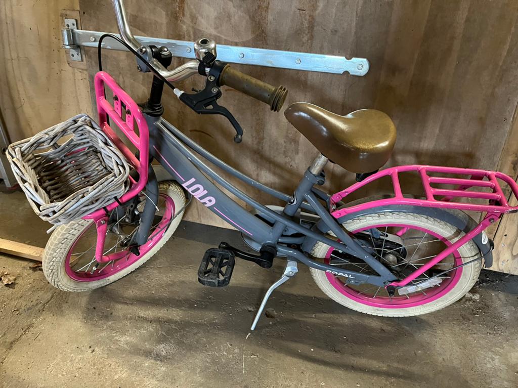 Meisjes fiets 16 inch, Fietsen en Brommers, Ophalen, Zo goed als nieuw, 16 inch