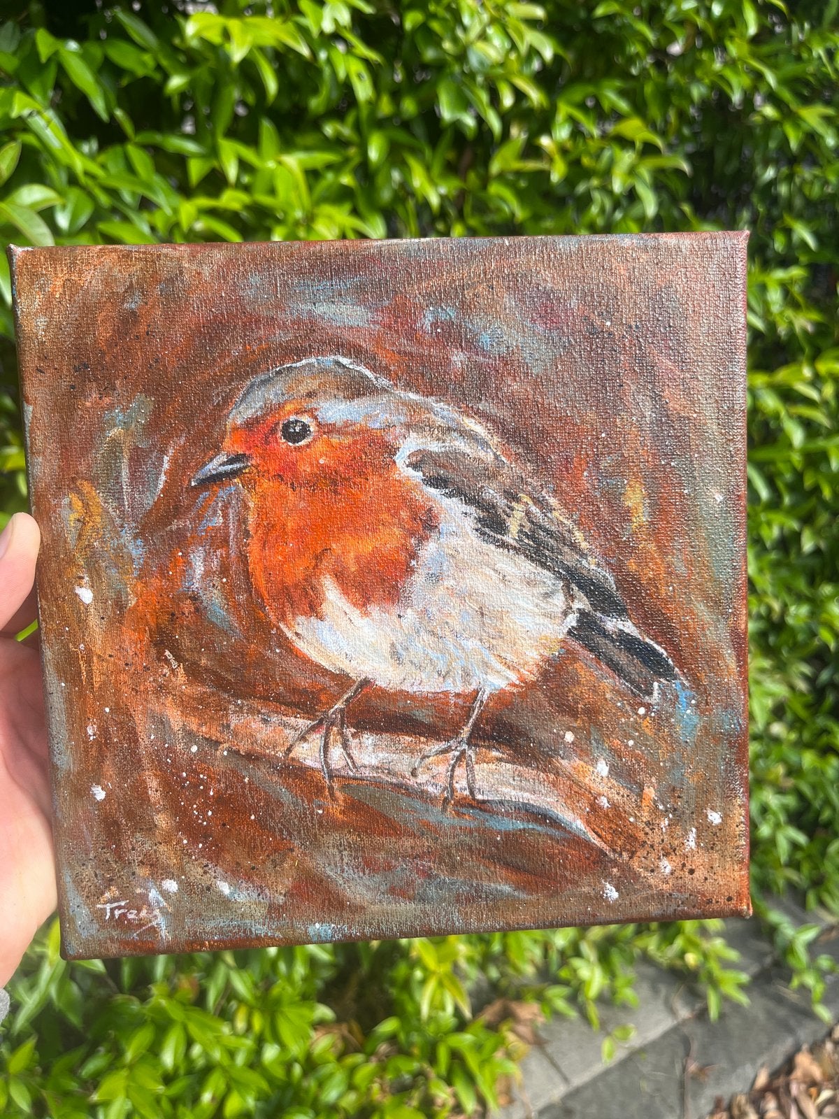Prachtig handgeschilderd Roodborstje op doek (20x20cm), Antiek en Kunst, Acrylverf, Doek, Realistisch, Dieren