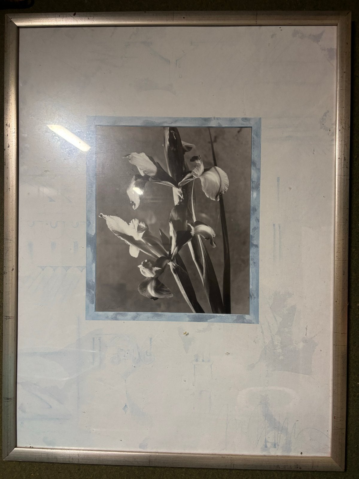 Zwart-wit foto van bloemen in zilveren lijst, Antiek en Kunst, Ophalen, Foto, Fotografie, Achter glas