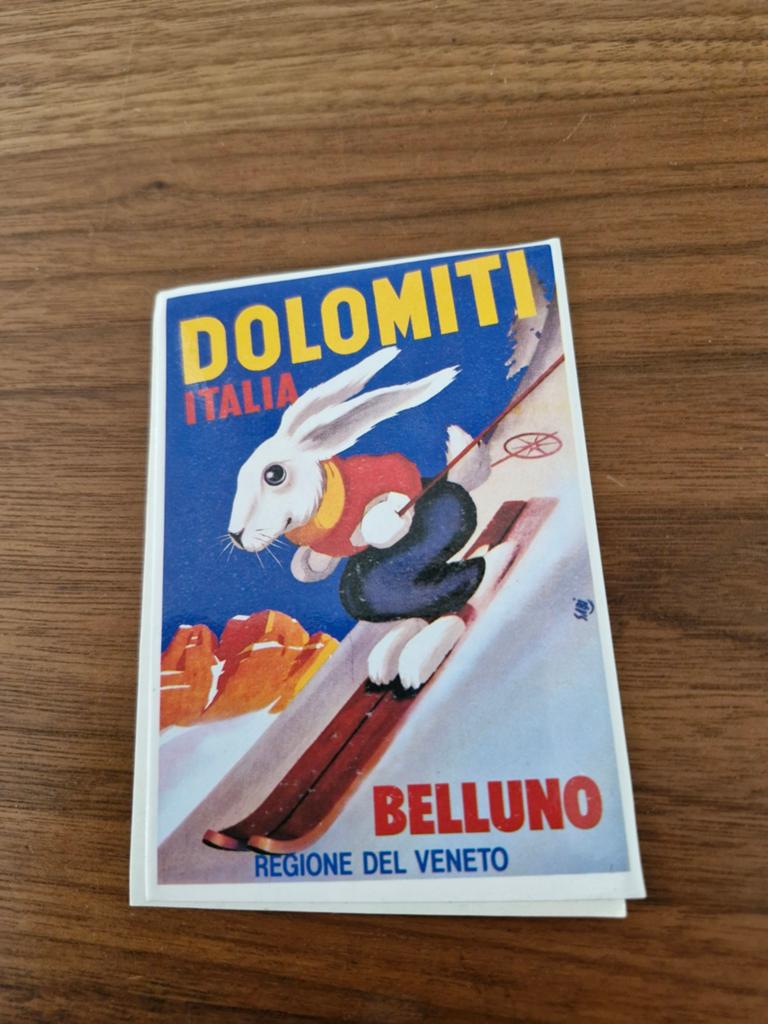8165 Vintage Dolomiti Italia Belluno ski sticker, Ophalen of Verzenden, Nieuw, Overige typen