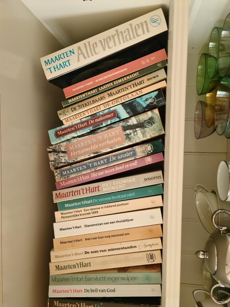Maarten t'Hart - 44 boeken, Ophalen of Verzenden, Gelezen, Kunst en Cultuur