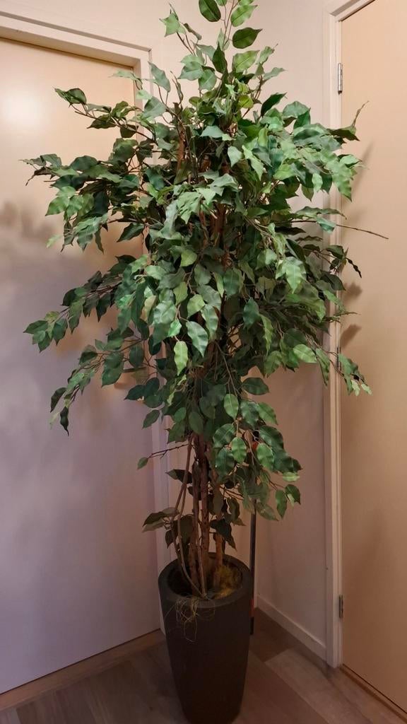 Grote Kunstboom - 2 Meter Hoog, Ophalen, 200 cm of meer, Overige soorten, Halfschaduw
