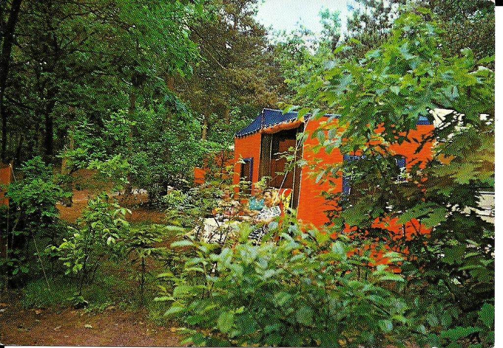 Ansichtkaart	Bosschenhoofd	De Wildert	Camping, Verzenden, 1960 tot 1980, Gelopen, Noord-Brabant