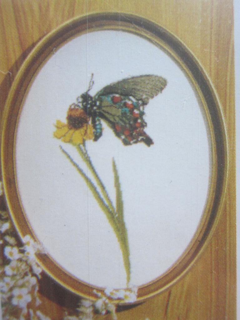borduurpatroon VLINDERS, Ophalen of Verzenden, Zo goed als nieuw, Handborduren, Patroon