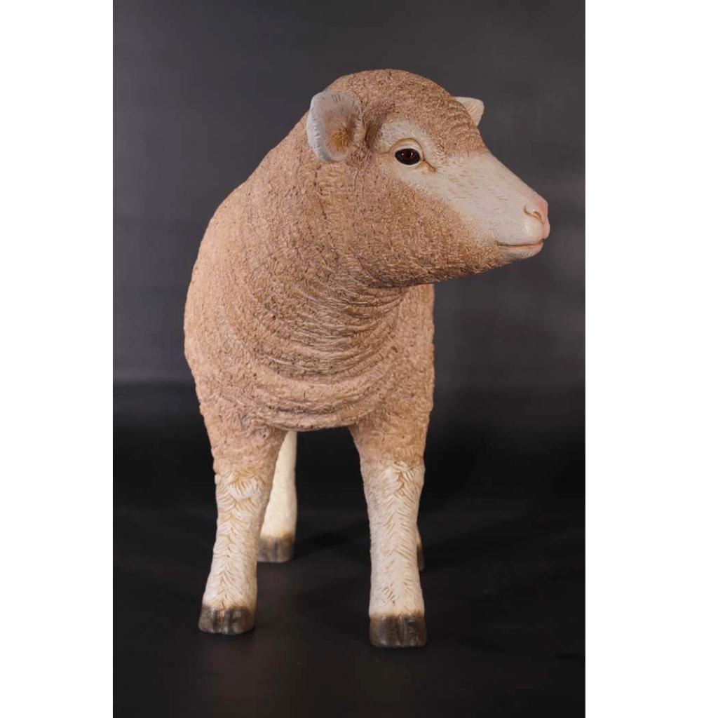 Standing Merino Lam – Schaap Lengte 62 cm, Ophalen, Nieuw, Overige typen