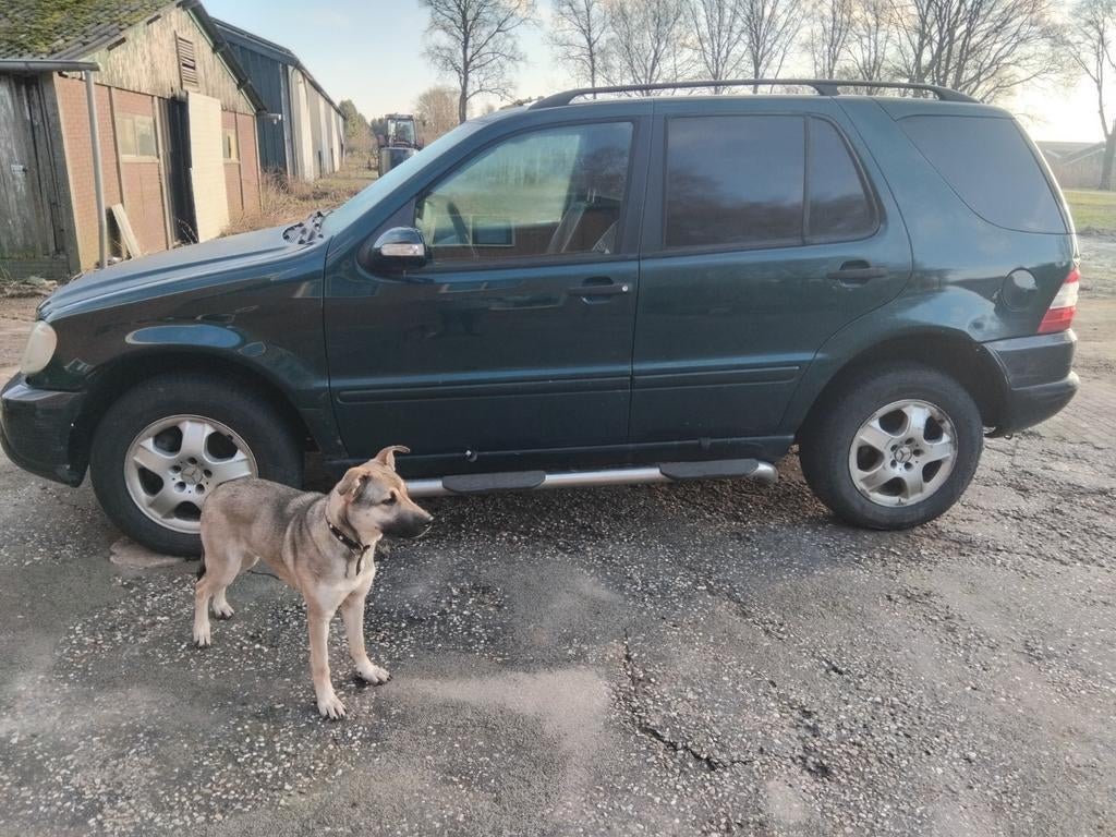Mercedes ML 270 cdi, Auto diversen, Schadeauto's, Ophalen of Verzenden, Wit, Diesel, Overige carrosserieën