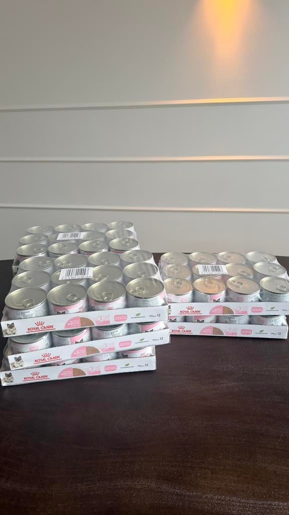 Royal Canin mother & babycat mousse, Ophalen of Verzenden, Kat