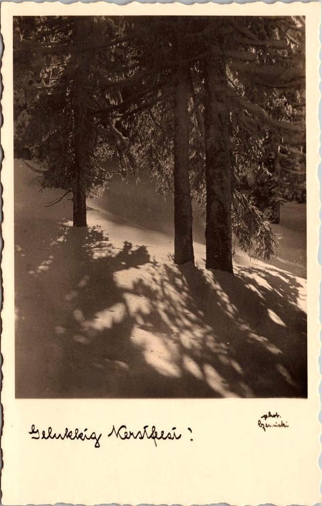 Gelukkig Kerstfeest - Antieke kerstkaart sneeuw III, Ophalen of Verzenden, 1920 tot 1940, Ongelopen, Feest(dag)
