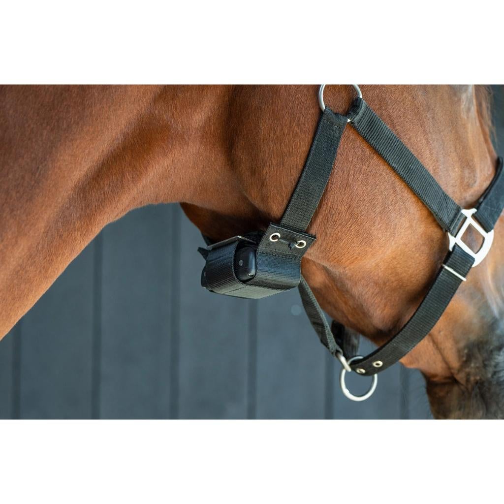 Te huur birth alarm geboortemelder geboortealarm, Dieren en Toebehoren, Paarden en Pony's | Overige Paardenspullen, Nieuw, Overige soorten