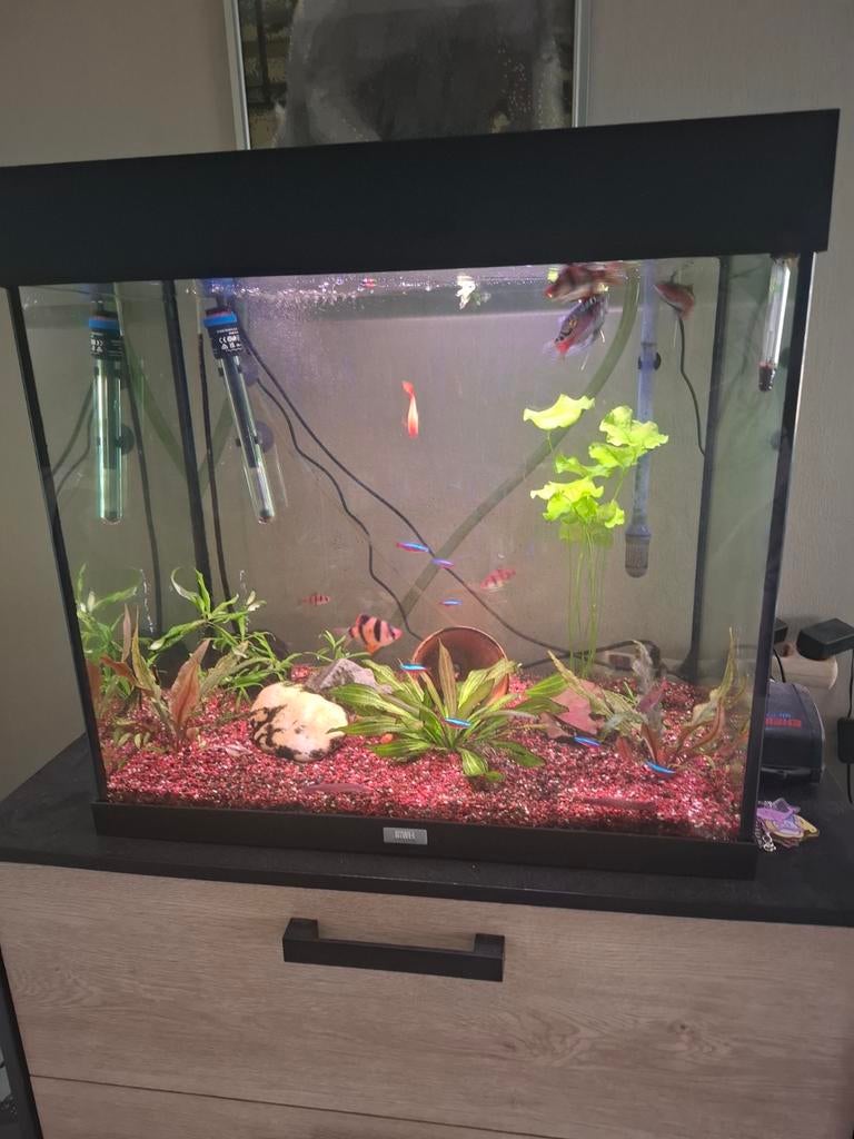 Aquarium te koop, Ophalen, Leeg aquarium