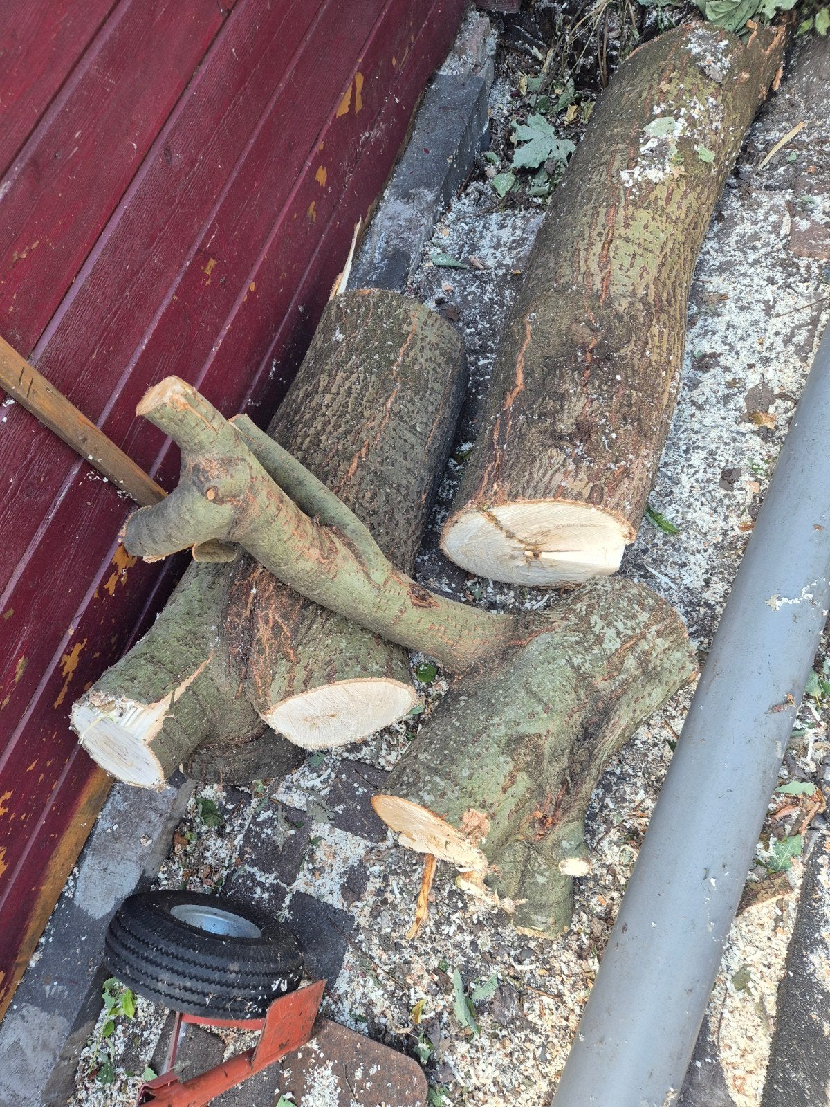 gratis hout, Tuin en Terras, Haardhout, Minder dan 3 m³, Ophalen of Verzenden