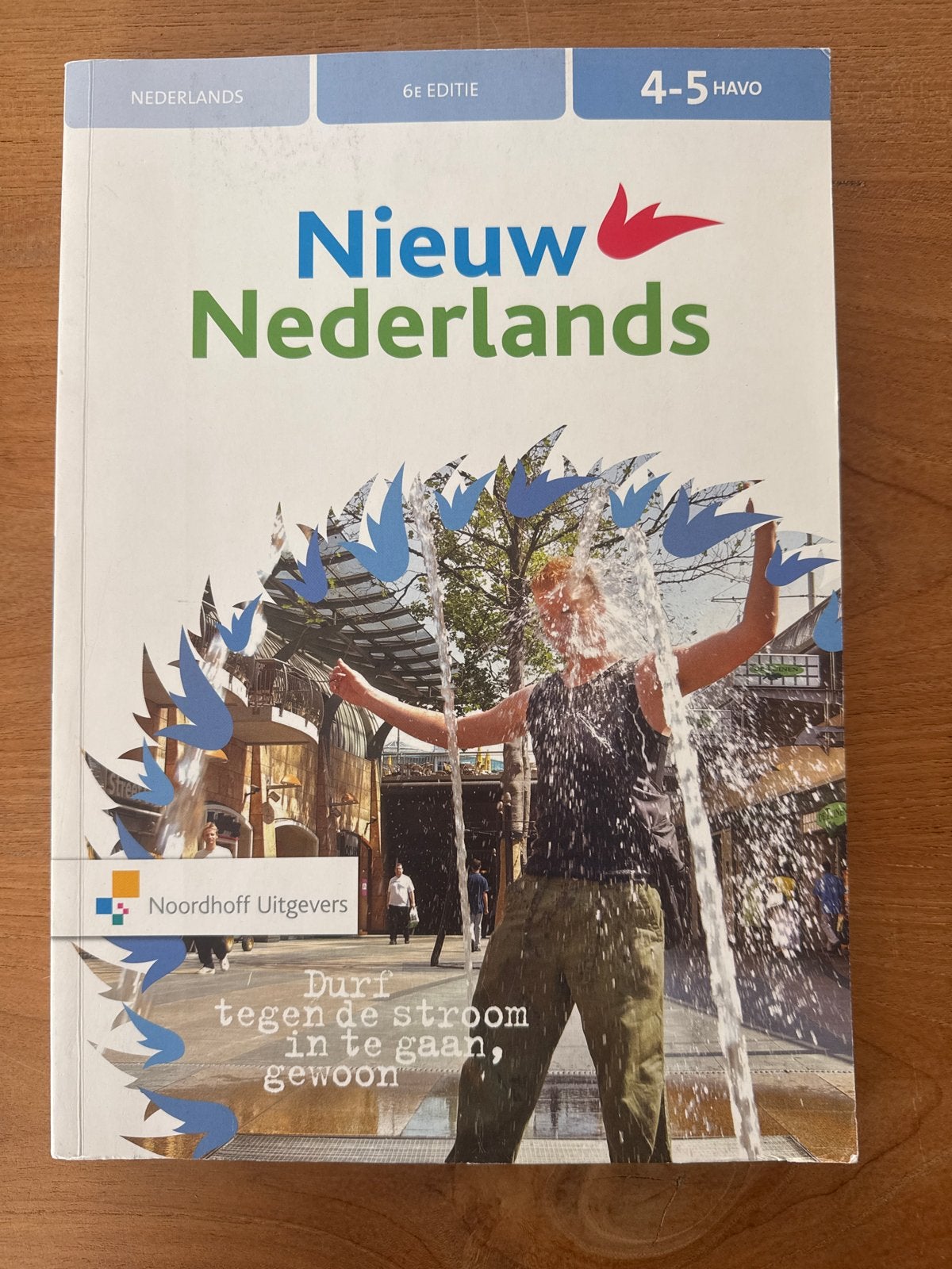 Nieuw Nederlands 4-5 HAVO 6e editie, Boeken, Schoolboeken, Ophalen of Verzenden, Zo goed als nieuw, HAVO, Nederlands