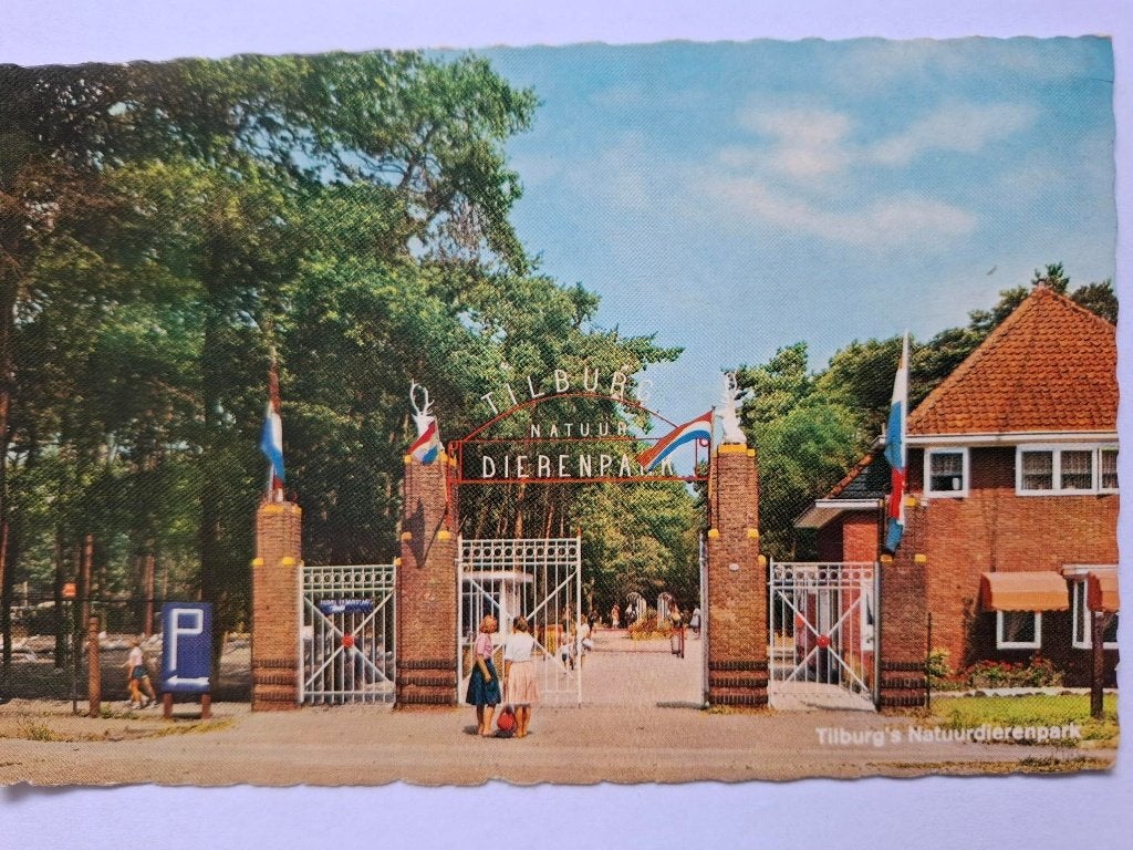 Zoo, Ophalen of Verzenden, 1960 tot 1980, Ongelopen, Vogel
