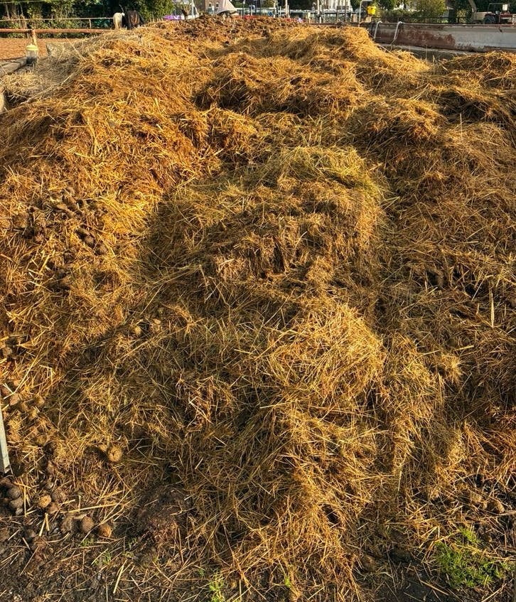 Paarden mest gratis ophalen, Ophalen