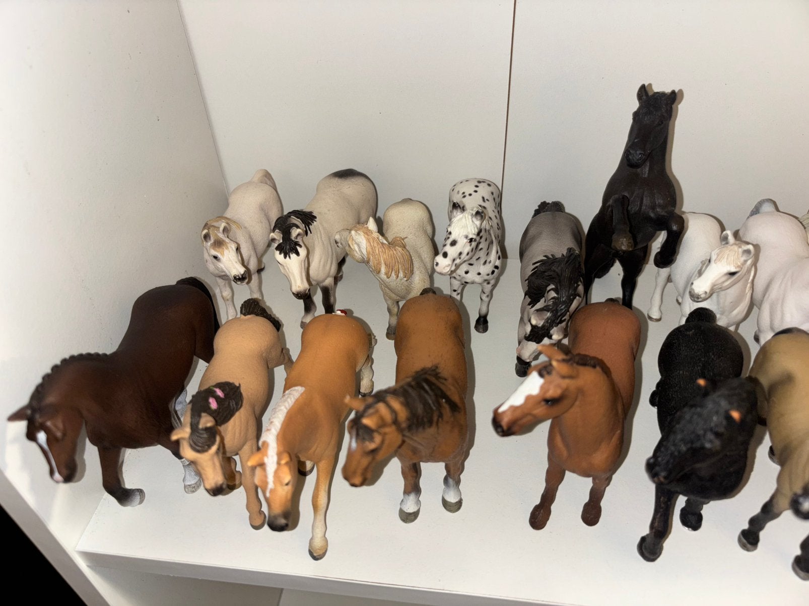 Gehele schleich collectie te koop!, Ophalen, Zo goed als nieuw, Paard, Beeldje of Figuurtje