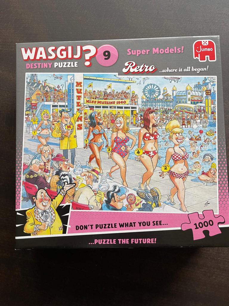Jan van Haasteren en Wasgij? Puzzels, Ophalen, 500 t/m 1500 stukjes, Zo goed als nieuw