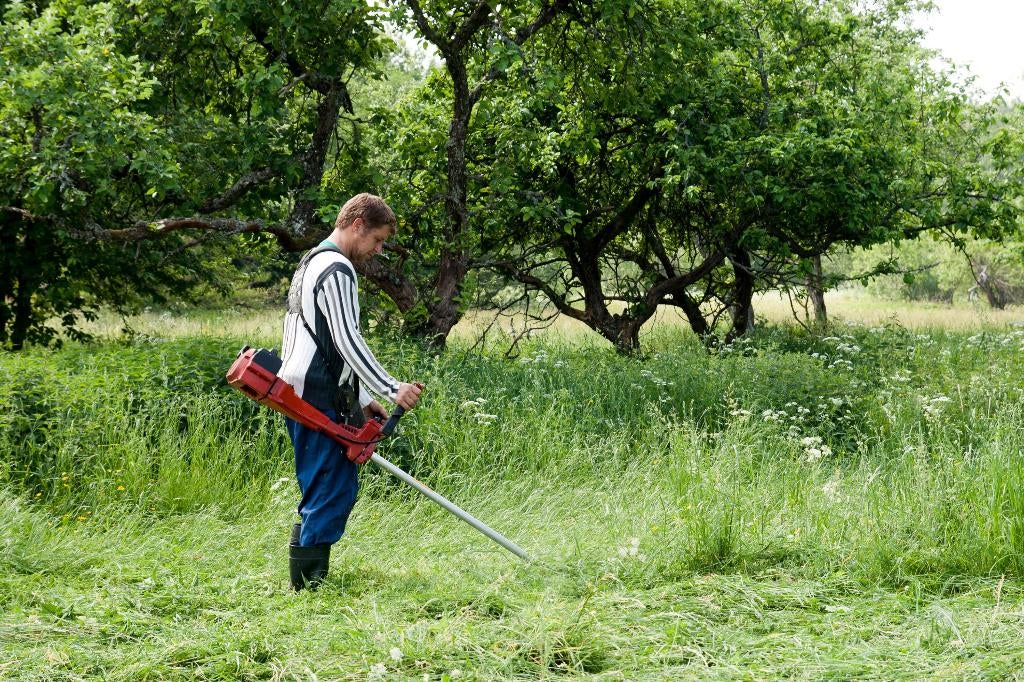 Tuinman omgeving sneek, Ophalen of Verzenden, Nieuw