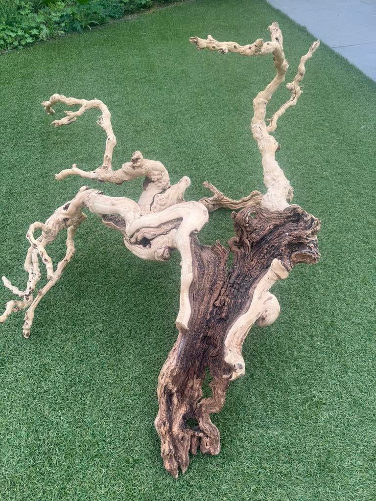 Druivenstronk wijnrank tak gedroogd, Huis en Inrichting, Ophalen, Binnen, Gebruikt, 100 cm