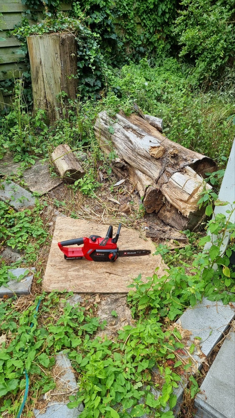 Gratis haardhout afhalen: 2 flinke boomstammen, gezaagd, Tuin en Terras, Ophalen