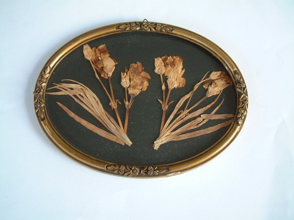 ovale antieke lijst met droogbloemen ca 24,5 bij 18,5 cm, Huis en Inrichting, Woonaccessoires | Lijsten, Ophalen of Verzenden