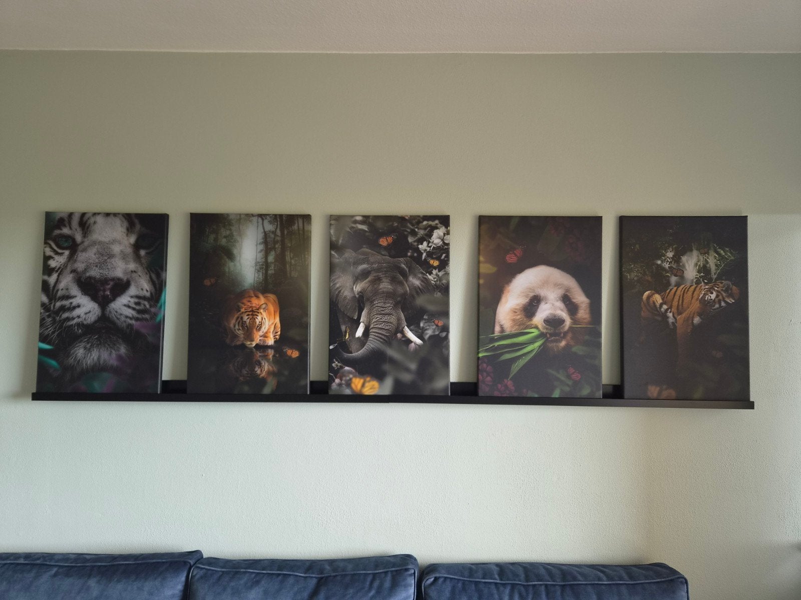 Set van 5 Canvas Schilderijen met Dieren (60x40 cm), Ophalen, 50 – 75, Minder dan 50 cm, Zo goed als nieuw