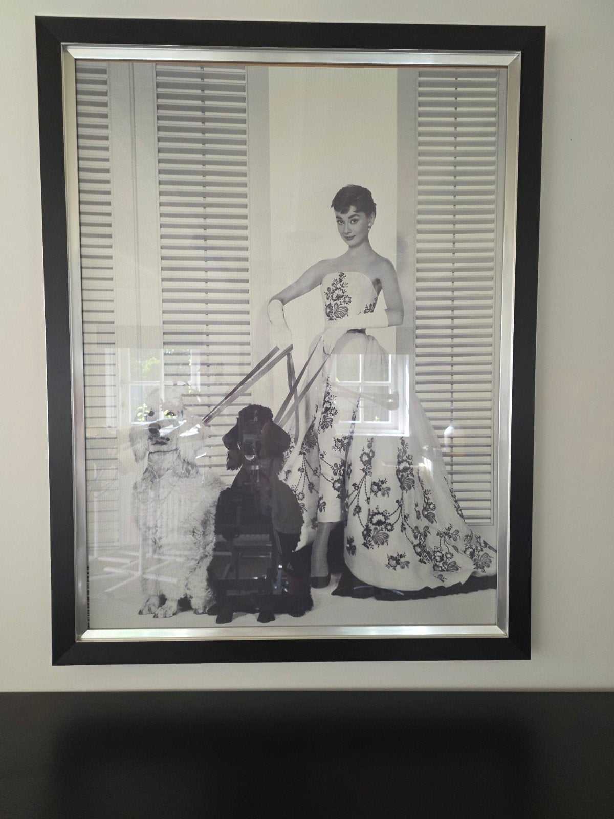 Ingelijste Audrey Hepburn foto met poedels, Ophalen of Verzenden, Foto, Fotografie, Ingelijst