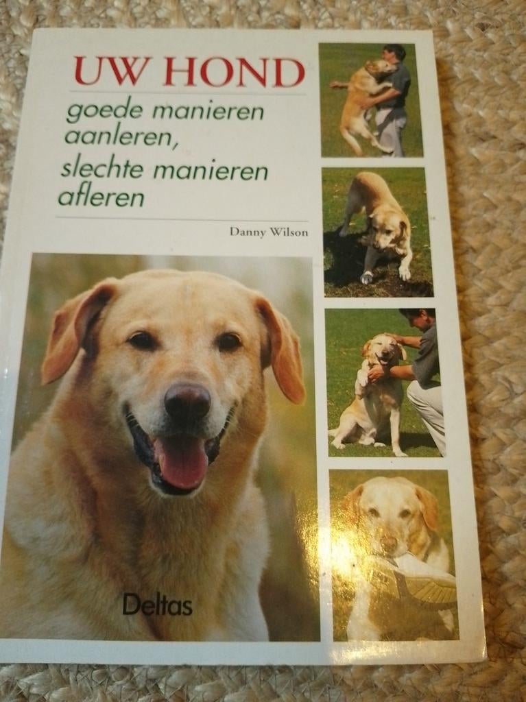 UW HOND: goede manieren aanleren, slechte manieren afleren, Ophalen of Verzenden