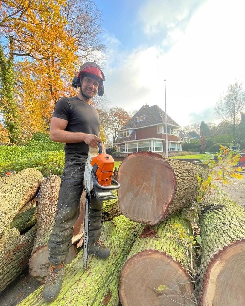 Boomverzorging: Professioneel, veilig en snel geregeld, Diensten en Vakmensen, Tuinmannen en Stratenmakers, Garantie, Tuinonderhoud of Snoeiwerk