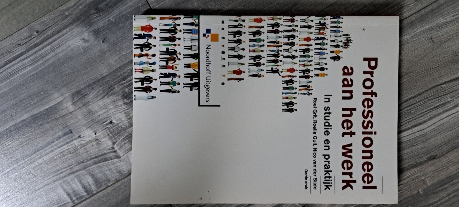 Professioneel aan het werk - In studie en praktijk, Boeken, Studieboeken en Cursussen, Zo goed als nieuw, Roel Grol, Roeltie Guit, Nico van der Sijde
