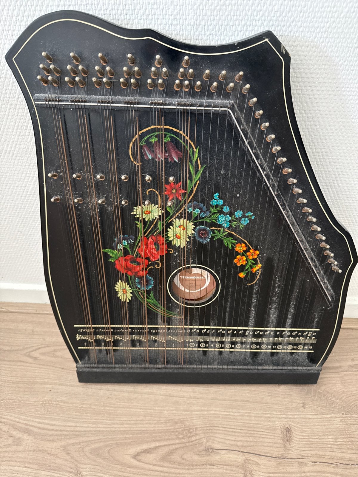 Vintage Autoharp / Zither met bloemmotief, Ophalen of Verzenden, Gebruikt
