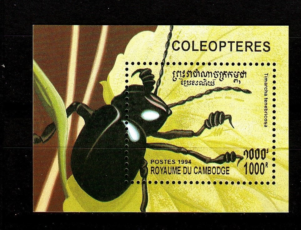 TSS Kavel 40006 Cambodja pf insecten blok minr 1451, Ophalen, Postfris, Zuidoost-Azië