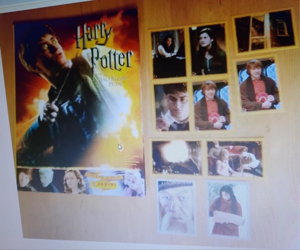 HARRY POTTER EN DE HALFBLOED PRINS - LEEG ALBUM, Verzamelen, Ophalen of Verzenden, Gebruikt