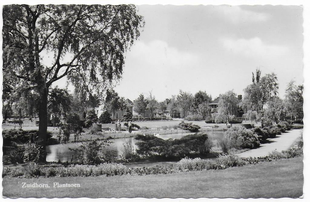 Zuidhorn Plantsoen Ansichtkaart uit 1964 (B7457), Ophalen of Verzenden, 1960 tot 1980, Gelopen