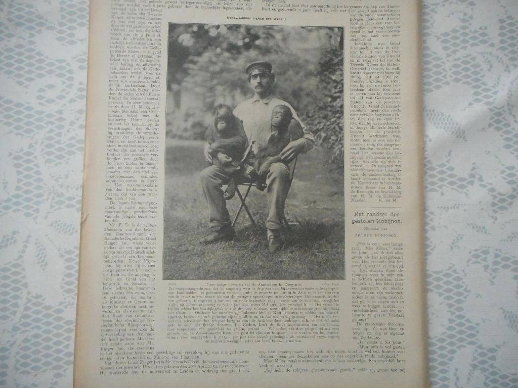 Artis. Orang-oetang echtpaar. 1905., Ophalen of Verzenden, Voor 1920, Nederland, Knipsel(s)
