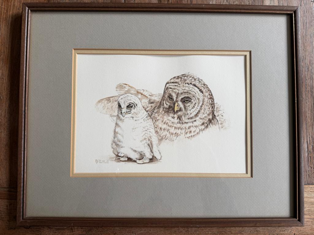 Ingelijste uilen aquarel - Dorothy Tuthill, Huis en Inrichting, Woonaccessoires | Schilderijen, Tekeningen en Foto's, Ophalen