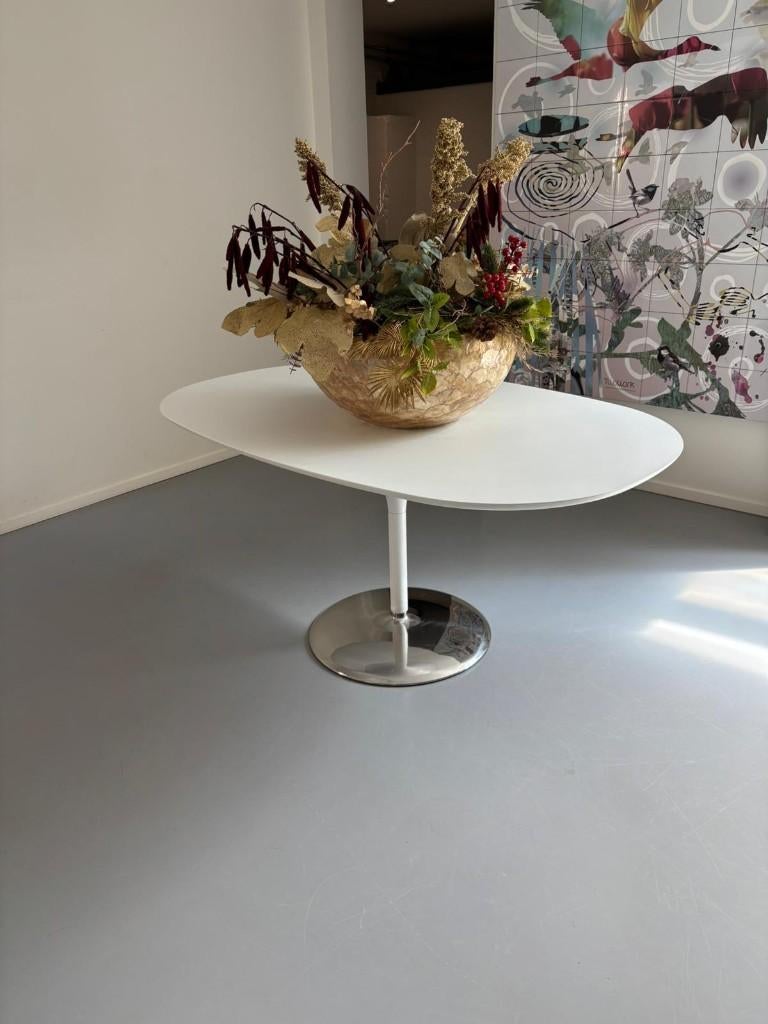 Arper Dizzie ovalen tafel, Huis en Inrichting, Ophalen, Overige materialen, Gebruikt, 100 tot 150 cm