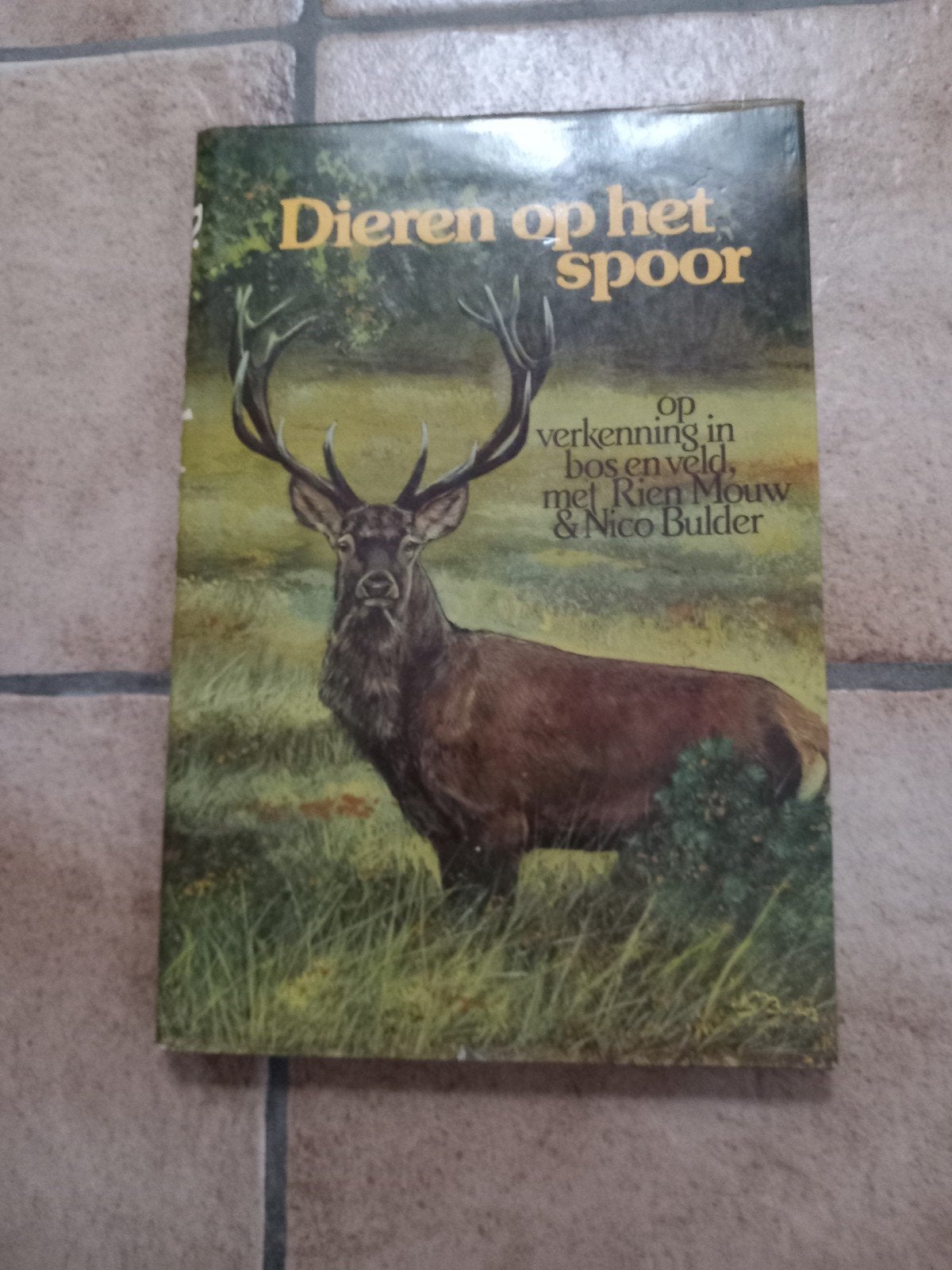 Dieren op het spoor - Op verkenning in bos en veld, Boeken, Ophalen of Verzenden
