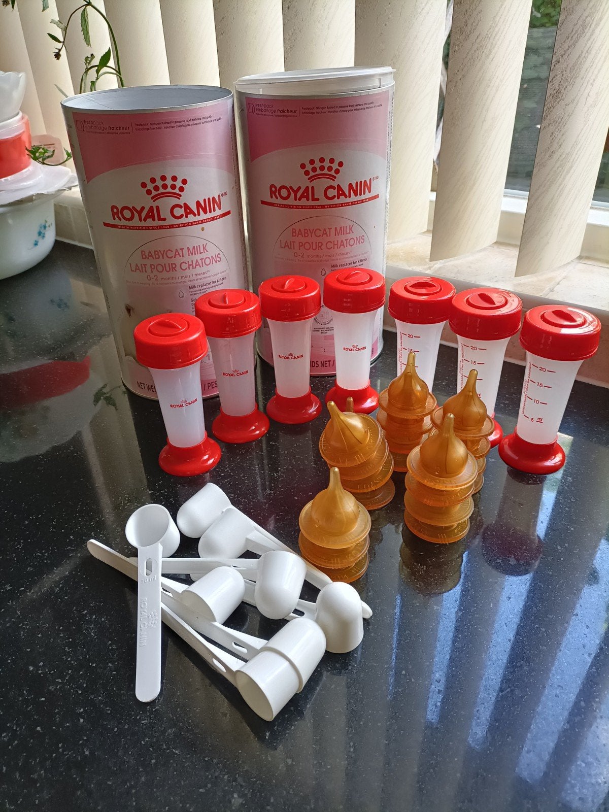 Royal Canin kitten flesjes, speentjes en schepjes, Dieren en Toebehoren, Dierenvoeding, Ophalen of Verzenden, Kat