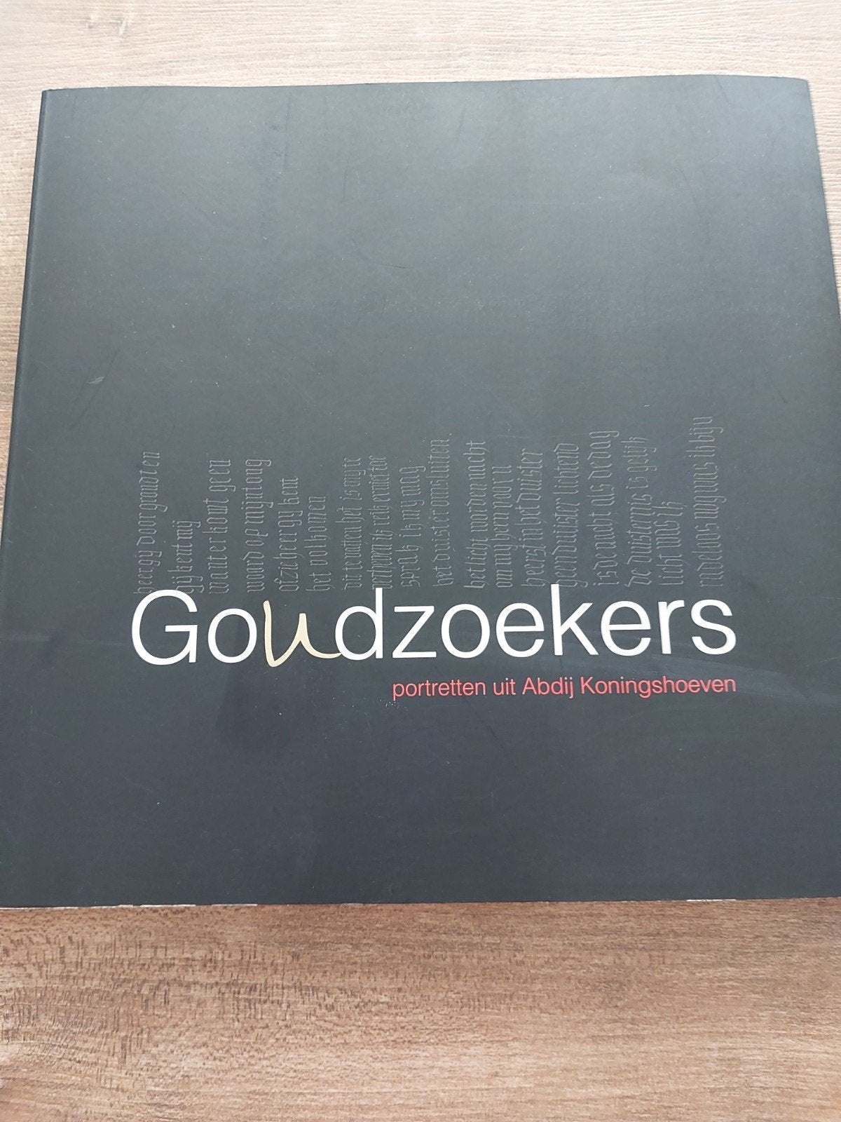 Goudzoekers: Portretten uit Abdij Koningshoeven, Boeken, Godsdienst en Theologie, Ophalen of Verzenden, Gelezen